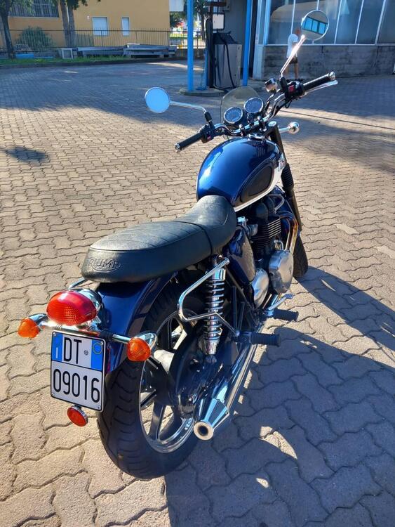 Triumph Bonneville SE (2009 - 13) (5)