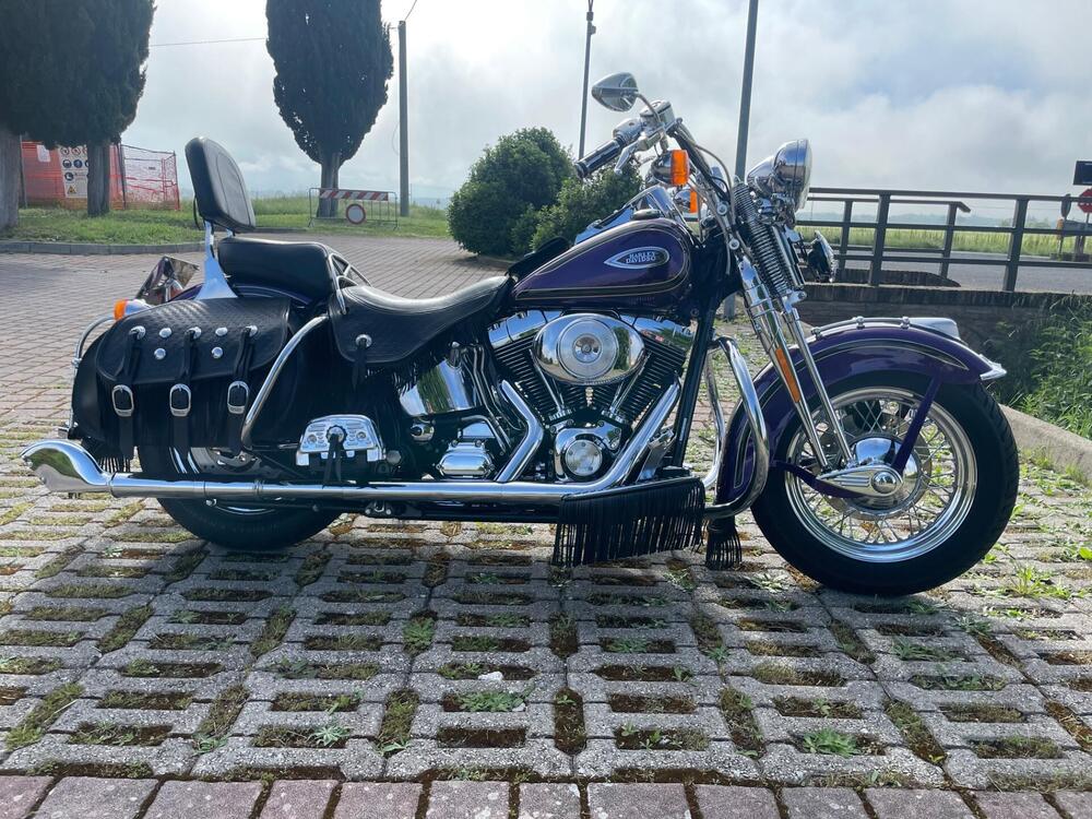 Harley-Davidson 1450 Heritage Springer (2000 - 03) - FLSTS (4)