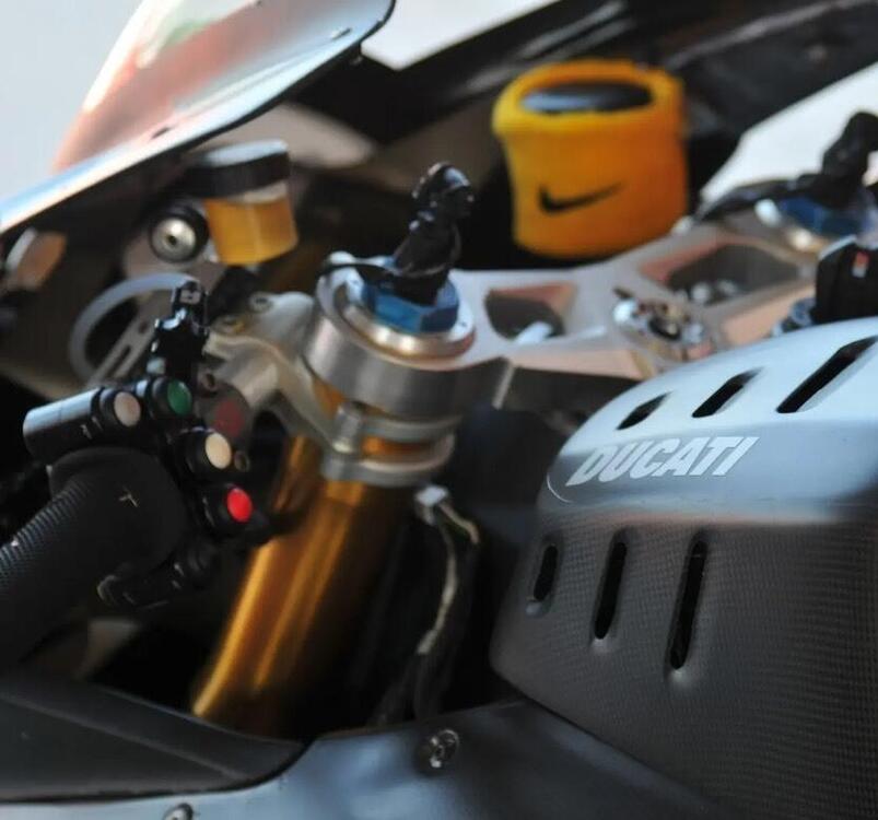 Ducati 1199 Panigale R ABS (2013 - 17) (3)