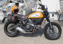 Ducati Scrambler 800 Classic (2015 - 16) usata