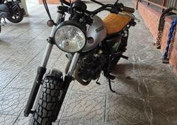 Suzuki TU 250 X (1997 - 03) usata
