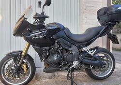 Triumph Tiger 1050 (2006 - 12) usata