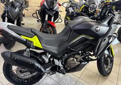 QJ Motor SVT 650 X (2024) nuova
