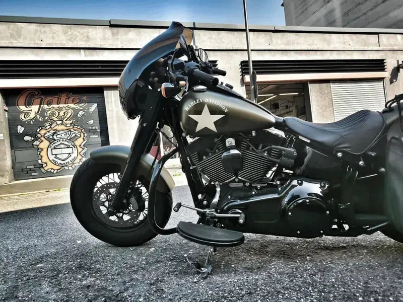 Harley-Davidson 1800 Slim S (2015 - 17) - FLS (2)