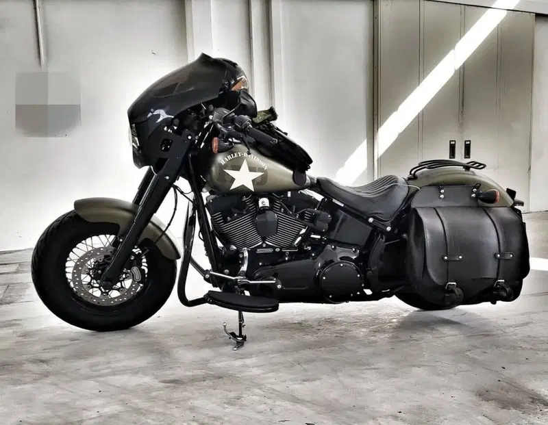 Harley-Davidson 1800 Slim S (2015 - 17) - FLS