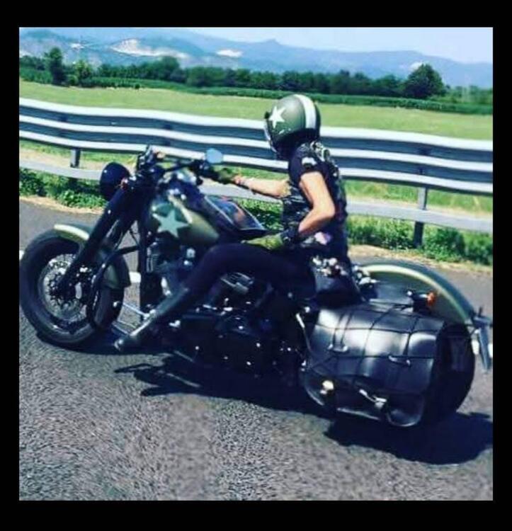 Harley-Davidson 1800 Slim S (2015 - 17) - FLS (4)