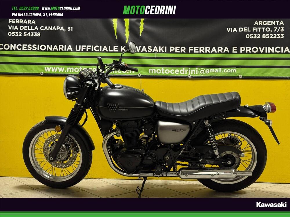 Kawasaki W 800 (2021 - 25)