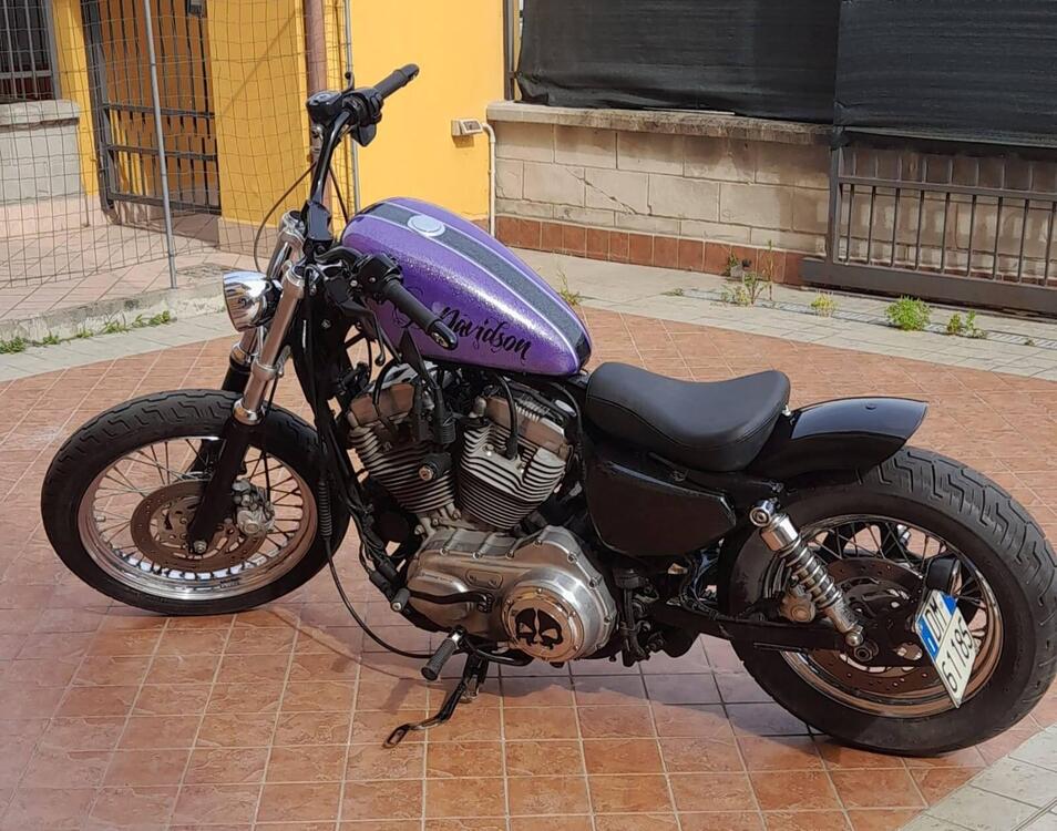 Harley-Davidson 883 (2008 - 09) - XL (3)