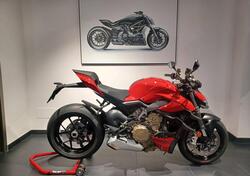 Ducati Streetfighter V4 (2023 - 24) usata
