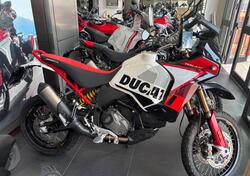 Ducati DesertX Rally (2024 - 25) nuova