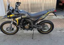 Voge Valico 300 Rally (2022 - 25) nuova