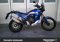 Yamaha Ténéré 700 World Rally (2023 - 25) usata