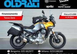 Moto Guzzi Stelvio (2024 - 25) usata