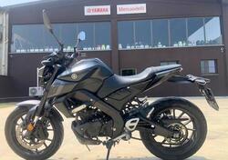 Yamaha MT-125 (2021 - 24) usata