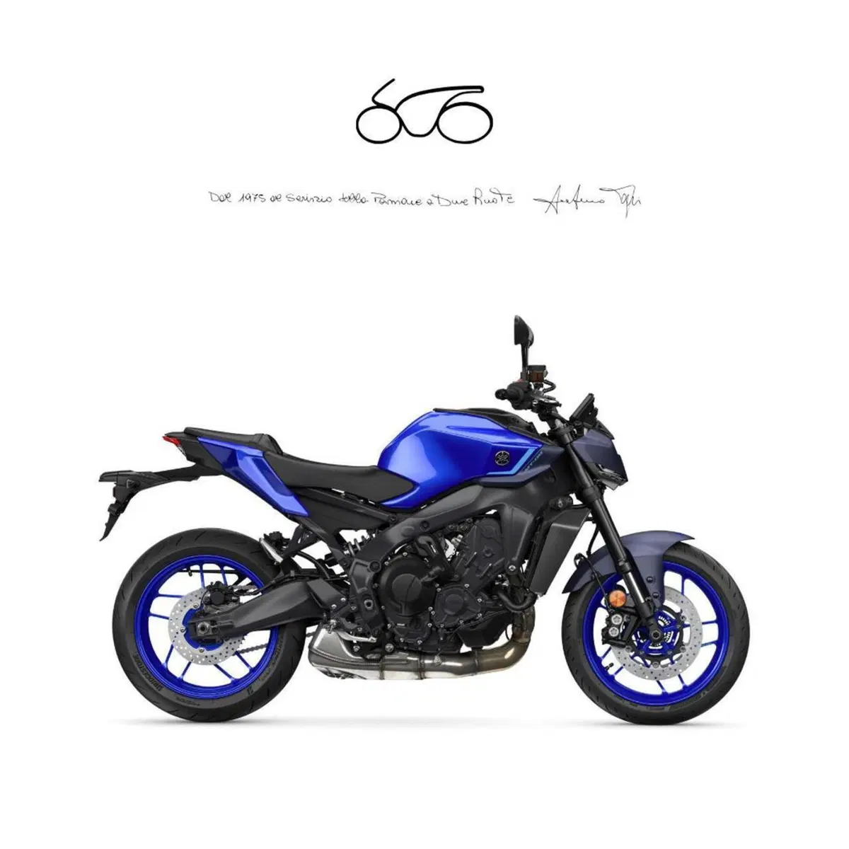 Yamaha MT-09 Y-AMT (2024 - 26)