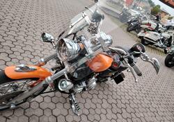 Harley-Davidson 1200 Custom (2007 - 13) - XL 1200C usata