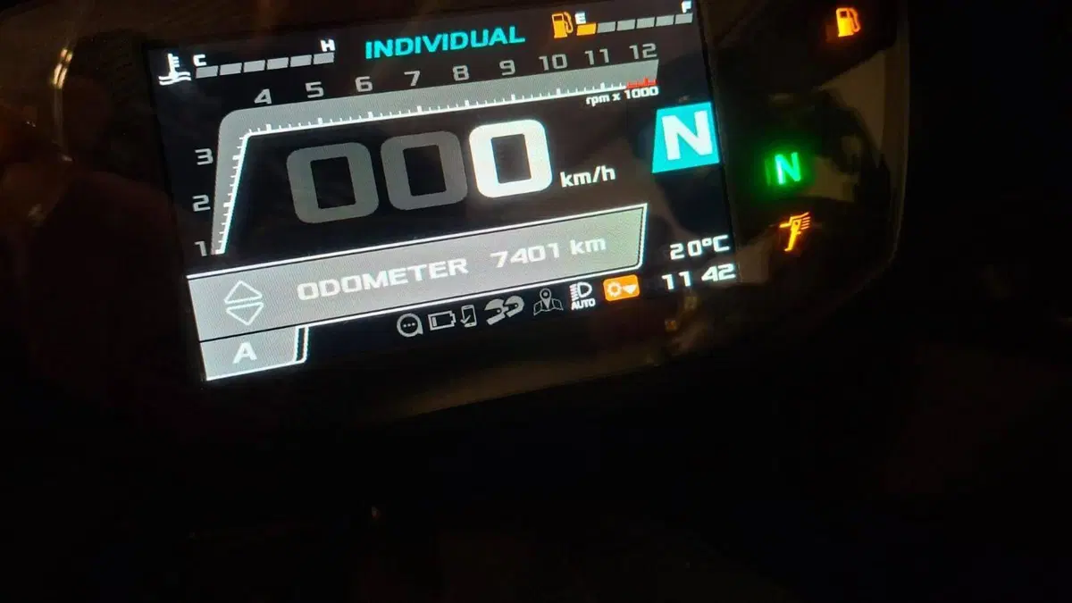 Aprilia RS 660 (2020 - 24) (3)