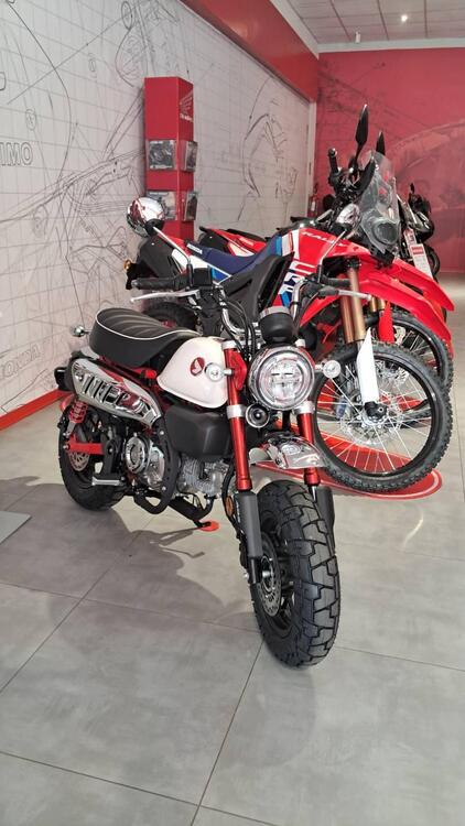 Honda Monkey 125 (2025) (3)