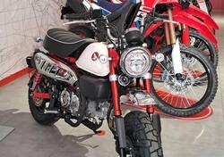 Honda Monkey 125 (2025) nuova