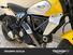Ducati Scrambler 800 Icon (2023 - 25) (7)