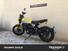 Ducati Scrambler 800 Icon (2023 - 25) (6)