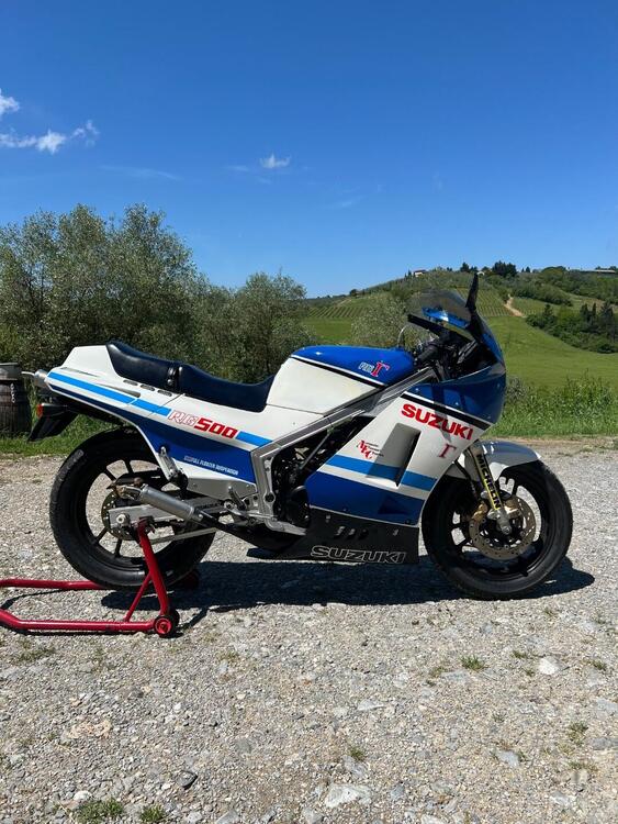 Suzuki Rg 500 gamma (5)