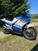 Suzuki Rg 500 gamma (11)