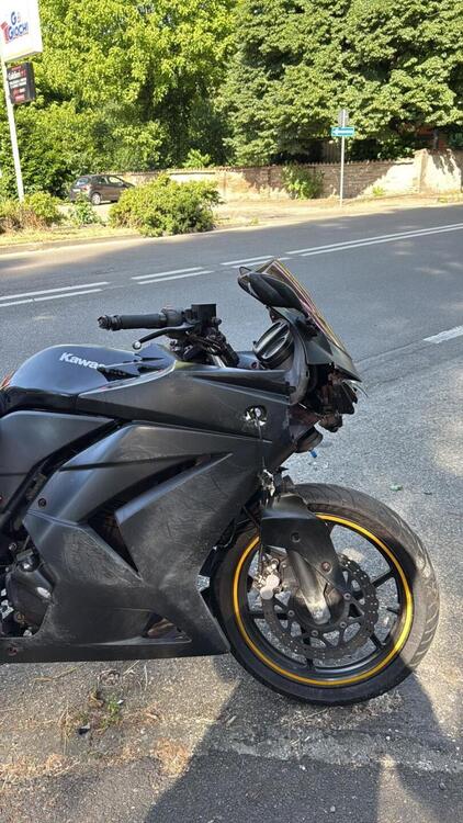 Kawasaki Ninja 250 R (2007 - 13)