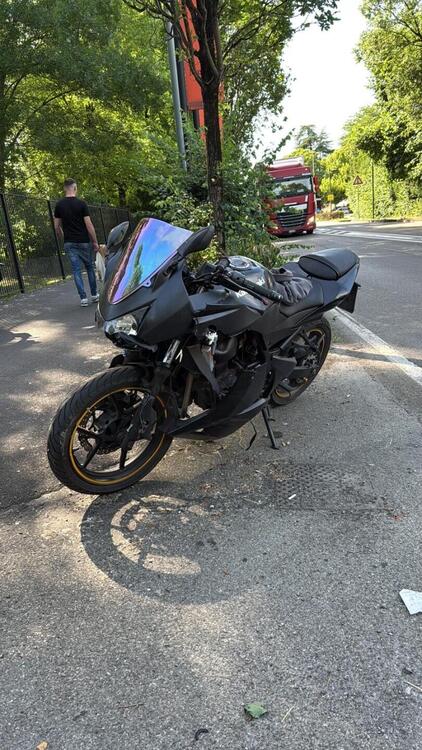 Kawasaki Ninja 250 R (2007 - 13) (2)