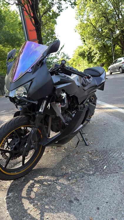 Kawasaki Ninja 250 R (2007 - 13) (3)