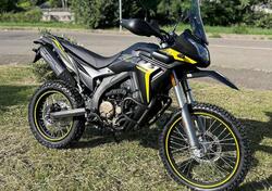 Voge 300 GY Rally (2022) nuova