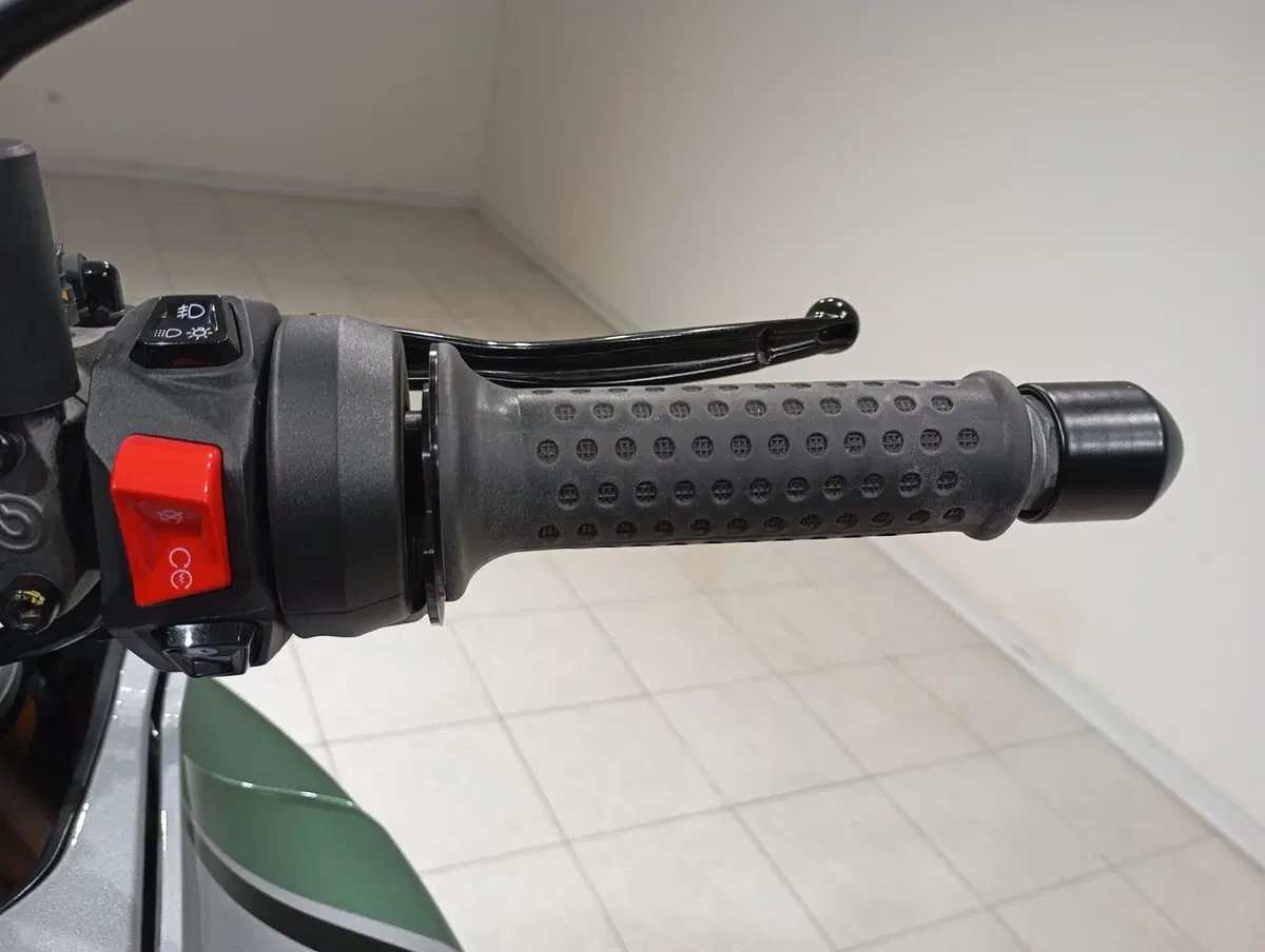 Moto Guzzi V100 Mandello (2022 - 24) (9)