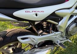 Suzuki Gladius 650 SFV (2009 - 15) usata