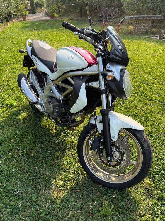 Suzuki Gladius 650 SFV (2009 - 15) (2)