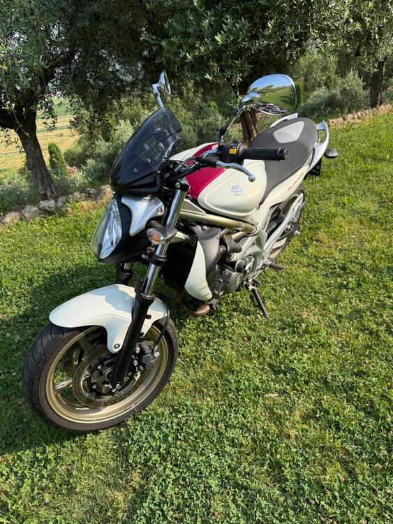 Suzuki Gladius 650 SFV (2009 - 15) (3)