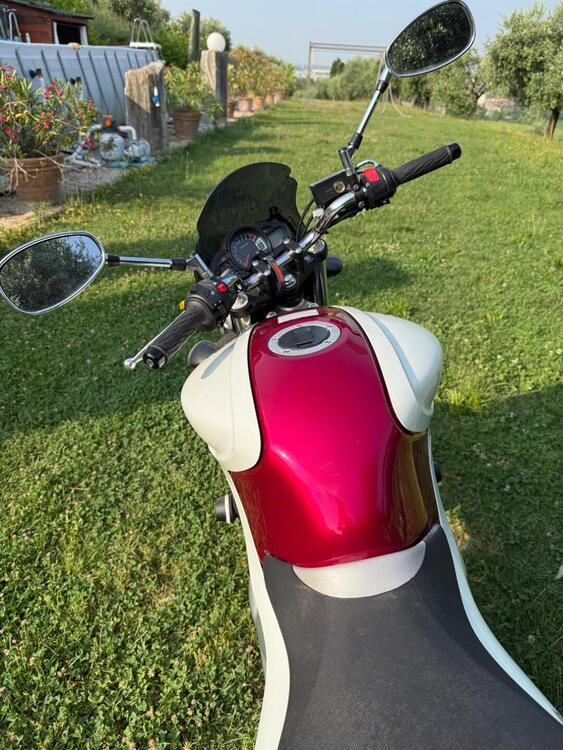 Suzuki Gladius 650 SFV (2009 - 15) (5)