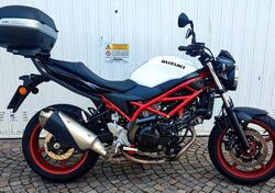 Suzuki SV650 (2021 - 24) usata