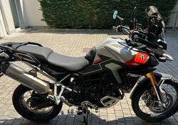 Triumph Tiger 900 Rally Pro (2024 - 25) usata