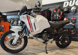 Ducati DesertX (2022 - 25) nuova