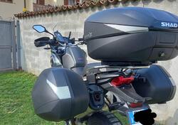 Voge Valico 650DSX (2021 - 24) usata
