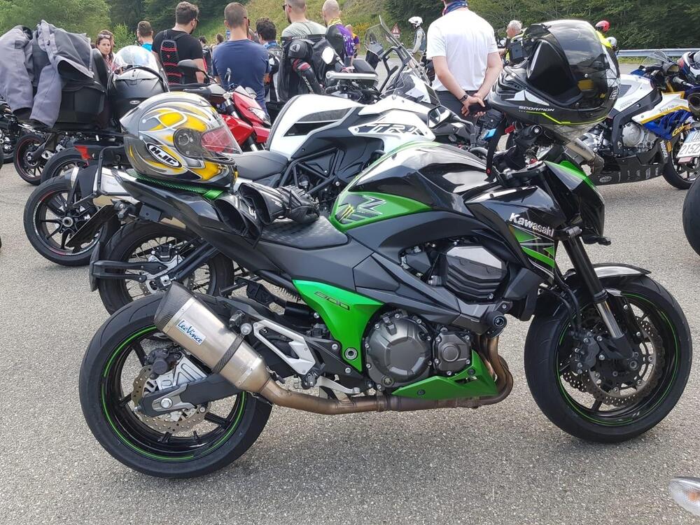 Kawasaki Z 800 Performance (2013 - 13) (2)