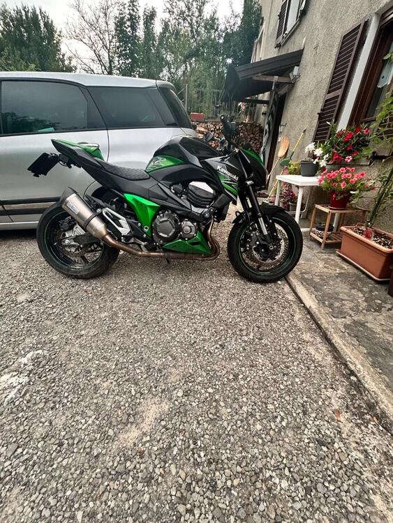 Kawasaki Z 800 Performance (2013 - 13) (3)