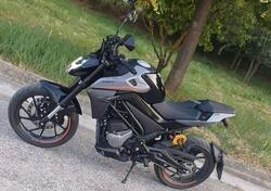 CFMOTO 300NK (2021 - 25) usata