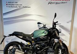 Benelli Leoncino 800 (2022 - 25) usata