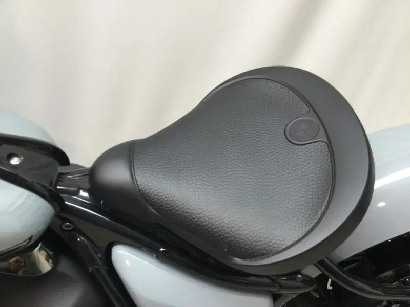 Bmw R 18 Roctane (2025 - 26) (11)