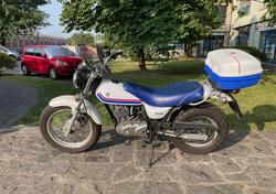 Suzuki Van Van RV 125 (2006 - 17) usata