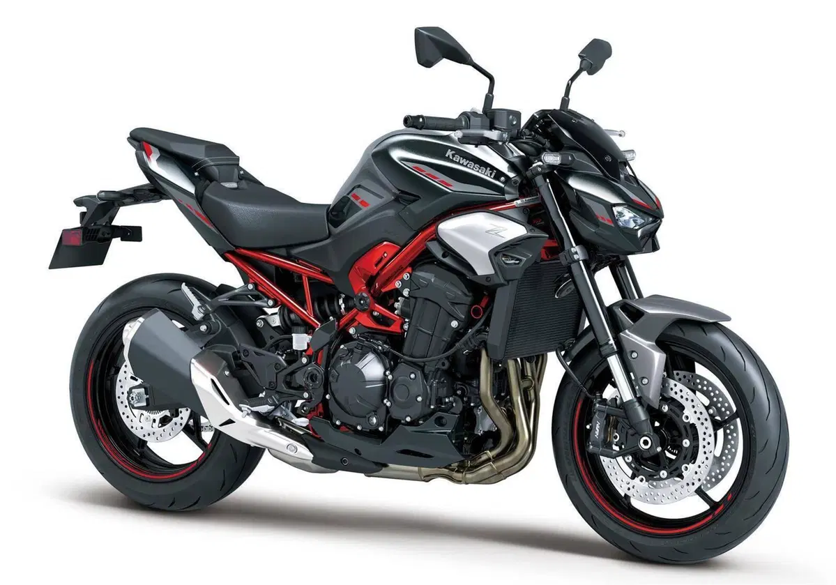 Kawasaki Z 900 A2 (2025 - 26) (3)
