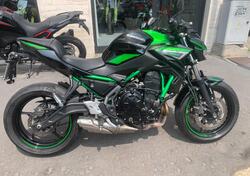 Kawasaki Z 650 (2021 - 24) usata