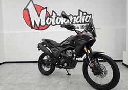 Morbidelli T125X (2025) nuova