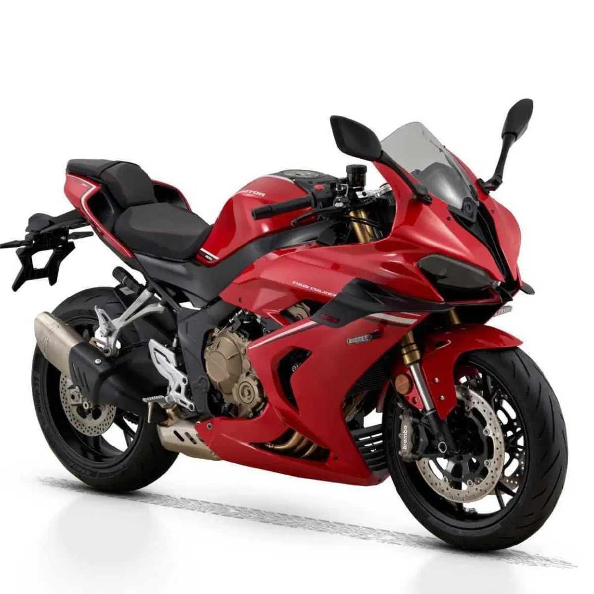 QJ Motor SRK 800 RR (2025 - 26)